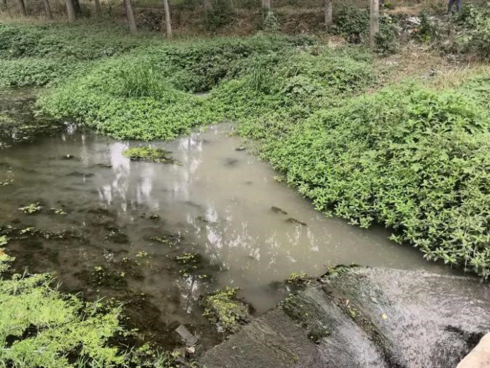 河道及黑臭水體治理